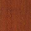 silky oak